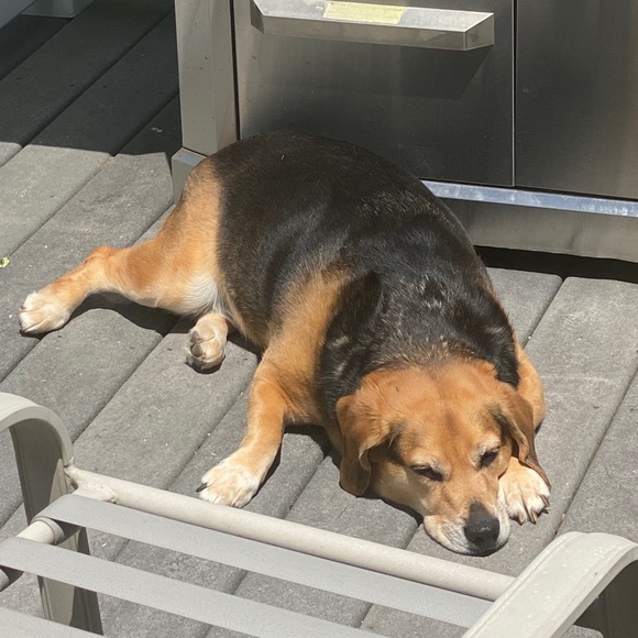 Meet your Posher, Emily - Picture 1 of 1